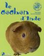 Le Cochon D'Inde - Preview