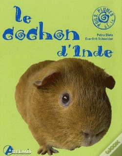 Capa do artigo Le Cochon D'Inde