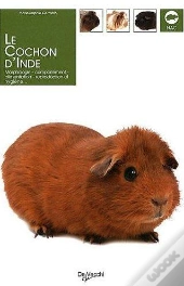 Le Cochon D'Inde