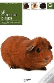 Capa do artigo Le Cochon D