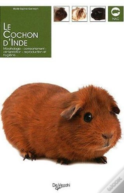 Capa do artigo Le Cochon D'Inde