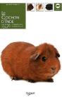 Le Cochon D'Inde - Preview