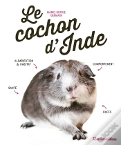 Capa do artigo Le Cochon D