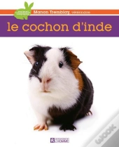Le Cochon D'Inde