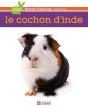 Le Cochon D'Inde - Preview