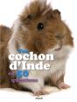 Le Cochon D'Inde - Preview