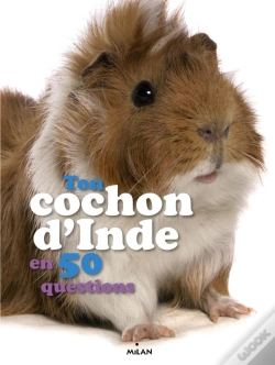 Capa do artigo Le Cochon D'Inde