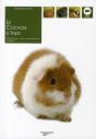 Le Cochon D'Inde - Preview