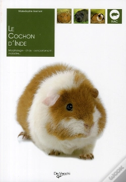 Capa do artigo Le Cochon D'Inde