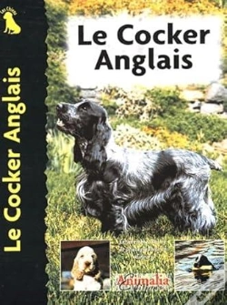 Capa do artigo Le Cocker Anglais