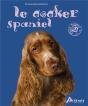 Le Cocker Spaniel - Preview