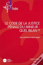 Le Code De La Justice Pénale Du Mineur : Quel Bilan ?
