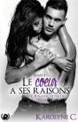 Le Coeur A Ses Raisons - Tome 3 Risquer De Perdre - Preview