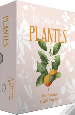 Capa do artigo Le Coffret Des Plantes