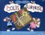 Le Colis Surprise - Preview