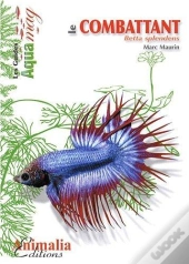 Le Combattant ; Betta Splendens