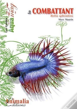 Capa do artigo Le Combattant ; Betta Splendens