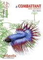 Le Combattant ; Betta Splendens - Preview