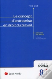 Le Concept D'Entreprise En Droit Du Travail