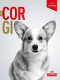 Le Corgi - Preview