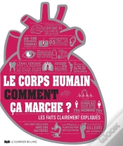 Capa do artigo Le Corps Humain Comment Ça Marche ? Les Faits Clairement Expliqués