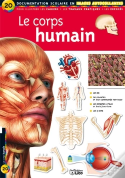 Capa do artigo Le Corps Humain