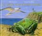 Le Crabe Aux Pinces Noires - Preview