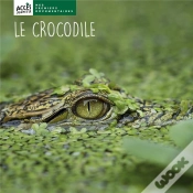 Capa do artigo Le Crocodile
