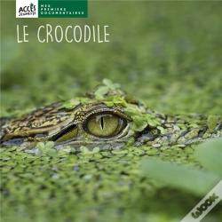 Capa do artigo Le Crocodile