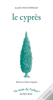 Le Cyprès
