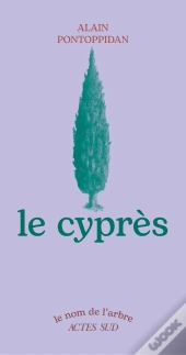 Le Cyprès