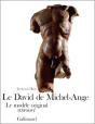 Le David De Michel-Ange : Le Modèle Original Retrouvé - Preview