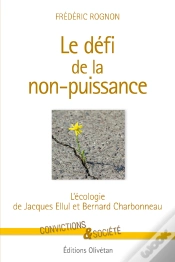 Capa do artigo Le Défi De La Non-Puissance