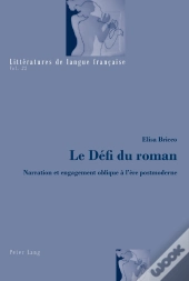 Le Défi Du Roman