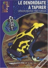Le Dendrobate À Tapirer - Dendrobates Tinctorius