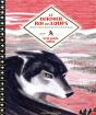 Le Dernier Roi Des Loups - Preview