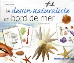 Capa do artigo Le Dessin Naturaliste - Bords De Mer
