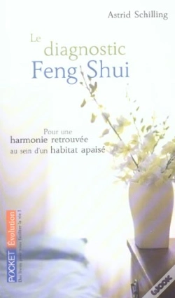 Capa do artigo Le Diagnostic Feng Shui