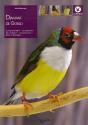 Le Diamand De Gould - Preview