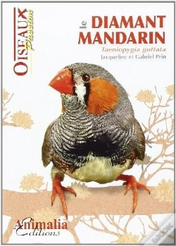 Capa do artigo Le Diamant Mandarin