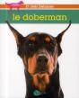 Le Doberman - Preview