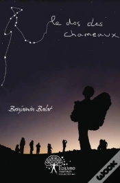 Capa do artigo Le Dos Des Chameaux