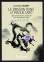 Le Dragon Dans Le Brouillard ; Lettres Édifiante Et Curieuses D'Un Français En Chine - Preview