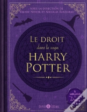 Capa do artigo Le Droit Dans La Saga Harry Potter
