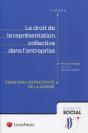 Le Droit De La Représentation Collective Dans L'Entreprise ; Essai Sur L'Effectivité De La Norme - Preview
