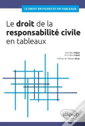 Le Droit De La Responsabilité Civile En Tableaux