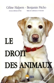 Capa do artigo Le Droit Des Animaux