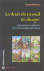 Le Droit Du Travail En Danger ; Une Ressource Collective Pour Des Combats Individuels - Preview