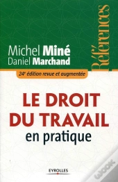 Le Droit Du Travail En Pratique