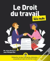 Capa do artigo Le Droit Du Travail Pour Les Nuls (6e Édition)